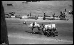 ���� ������ ��� ��� ����